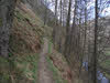 Path below Wren Crag 